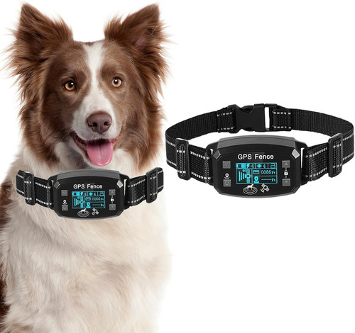 Collare elettrico per cani - elettrico, cani,